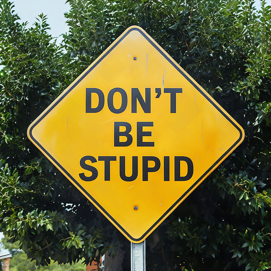 Don't Be Stupid yellow caution sign square glossy magnet